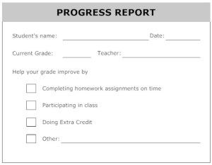 Progress Report