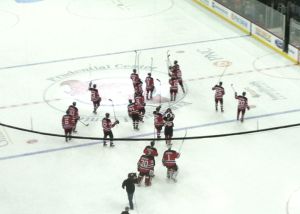 Devils stick salute