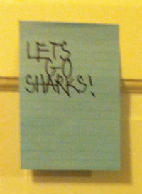 Let's Go Sharks
