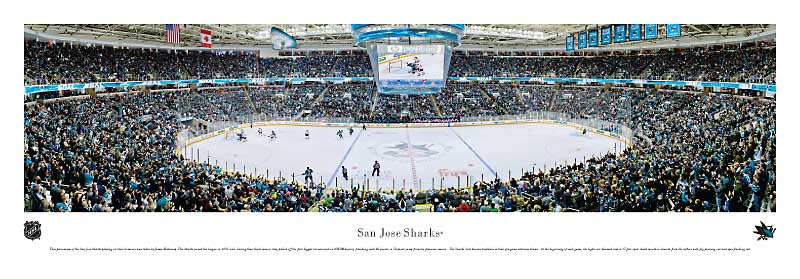 Sharks panorama
